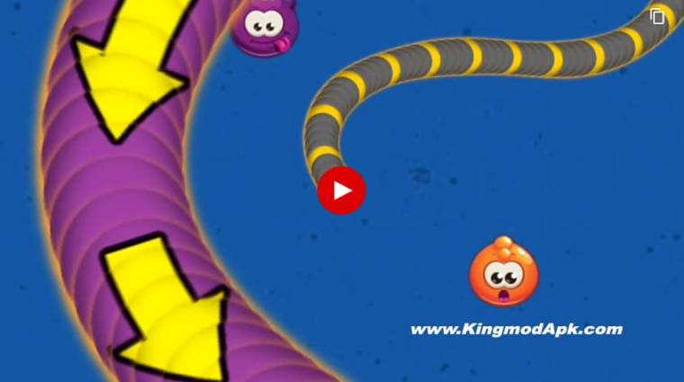 Fruit Worm Zone: io Greedy Snake 2.1 APK + Mod (Free purchase) for