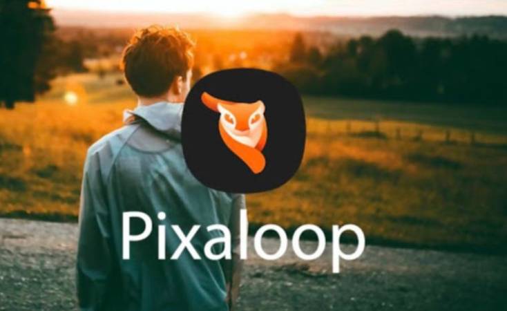 Enlight Pixaloop Mod Apk  Latest Version - Enlight Pixaloop Mod