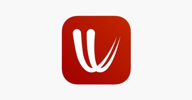 Windy.app Apk