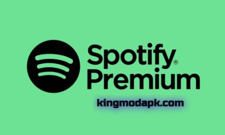 Spotify Premium Apk