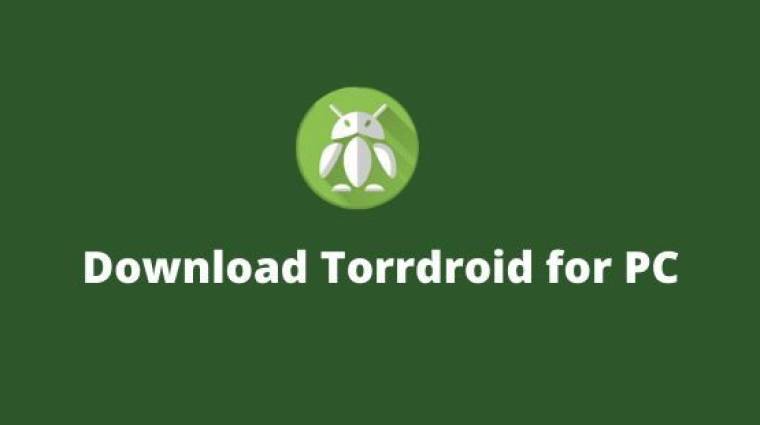 torrdroid for windows pc