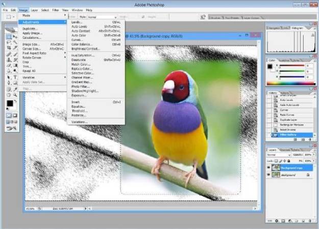 Adobe photoshop mod apk download for pc laboratory management principles and processes pdf free download