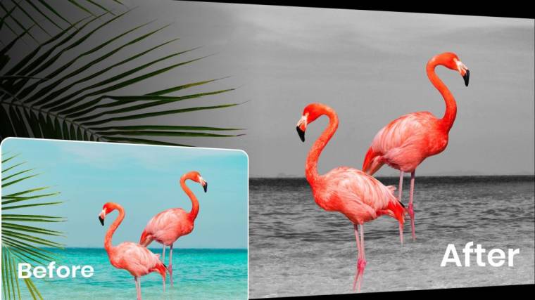 Color Pop Effects Apk