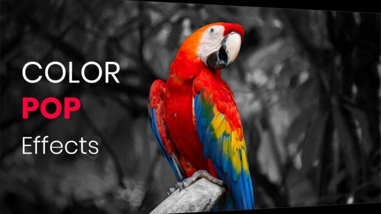 Color Pop Effects Apk
