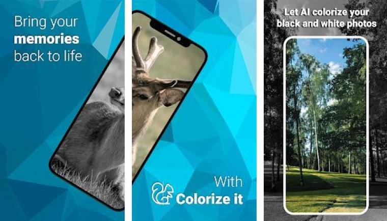 Colorize It Apk