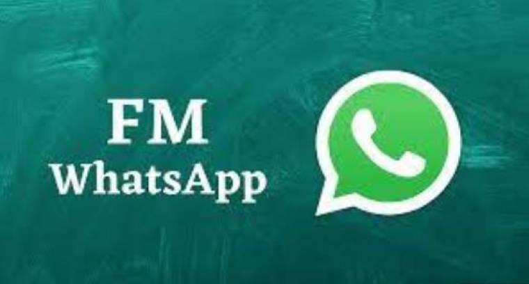 FM WhatsApp Apk