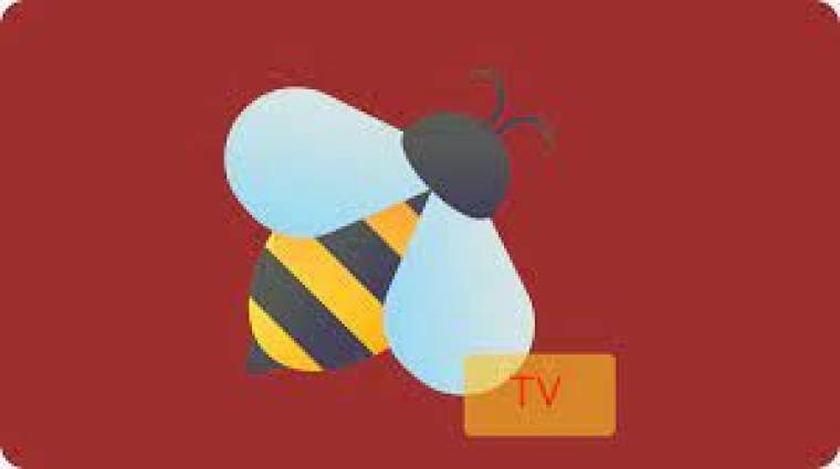 BeeTV Apk