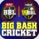 Big Bash Cricket Mod Apk