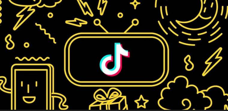 Tiktok Mod APK Bị Cấm Ở Ấn Độ