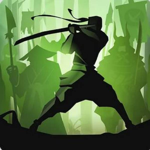 pro hacking shadow fight 2