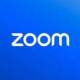 Zoom Premium APK