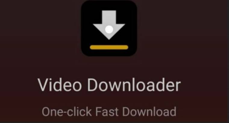 Video Downloader Pro Apk