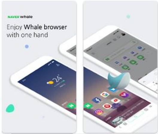 Whale Pro Apk